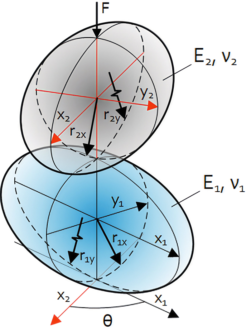 Illustration of two bodies in Hertzian contact